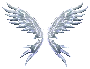 Wings of Soul +13