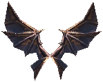 Wings of Dragon +13